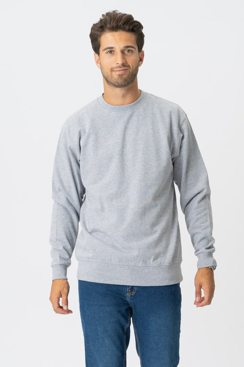 Basic Crewneck - Gray - TeeShoppen Group™